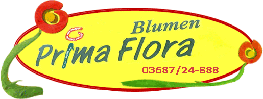Blumen PrimaFlora - Das Floristik Fachgeschft in Schladming